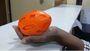 Squeaky Dog Toys