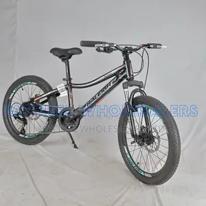 Raleigh M250 Mountain Bike – Front Suspension Disc Brakes