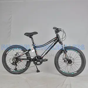 Raleigh M250 Mountain Bike – Front Suspension & Disc Brakes