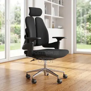 Dual-Back Orthopedic Office Seat