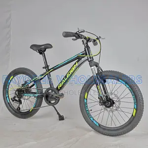 Raleigh M250 MTB – Disc Brakes Front Suspension