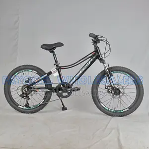 Raleigh Mountain Bike – Strong, Fast Reliable