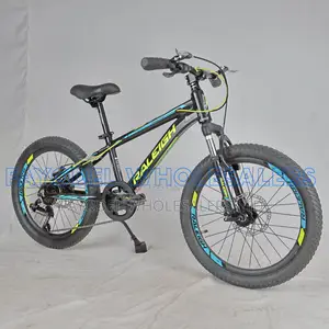 Raleigh MTB With Disc Brakes
