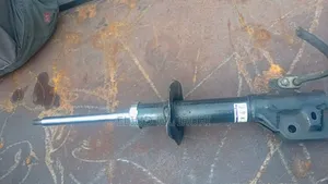 Mira Shock Absorbers