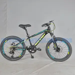 Raleigh MTB With Disc Brakes – Ready to Ride
