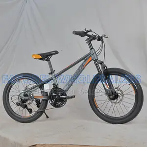 Trinx Mountain Bike Size 20 – Strong Reliable