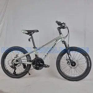 20-Inch Trinx Mountain Bike – Smooth Comfortable