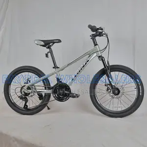 Trinx Mountain Bicycle – Durable and Stylish