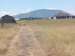 50*100 Plot for Sale in Malaa/Kantafu