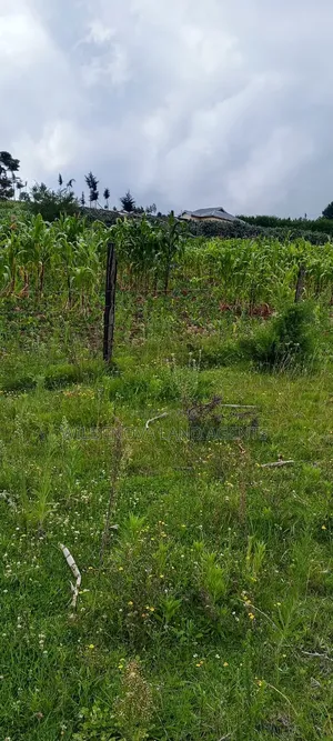 Land on Sale at Naivasha