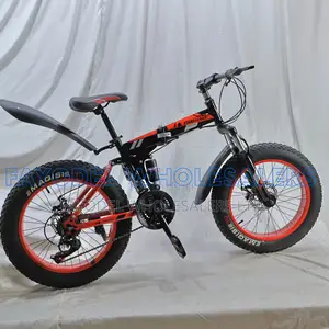 Fat Tire Mountain Bike – Strong, Stylish Durable