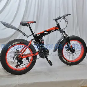Challenge Fashion Bicycle – Adventure Ready