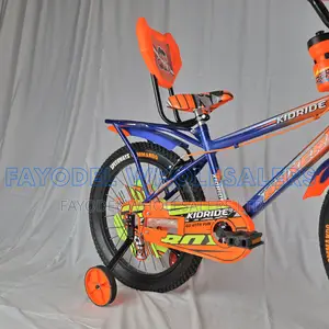 Kids Bike 20" With Backrest Seat and Carrier Rack