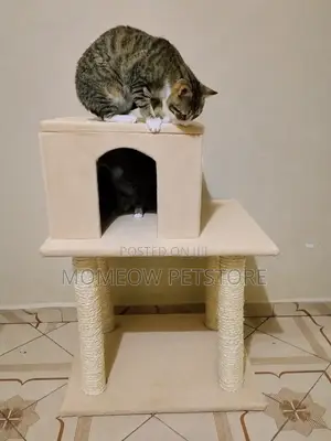 Cat Trees and Cat Towers, Scratcher