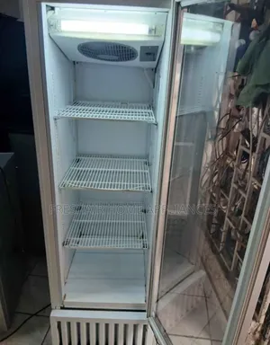 Silver Display Refrigerator 300litres