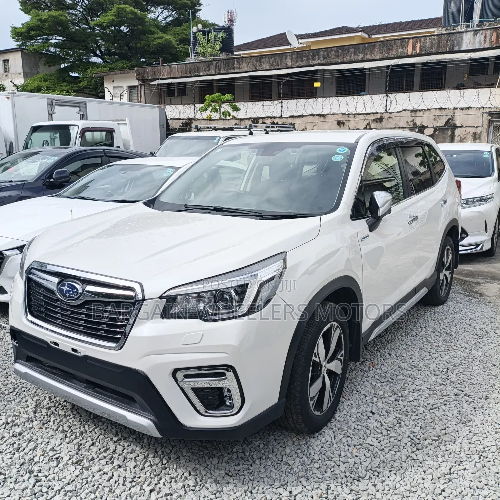 Subaru Forester 2019 White