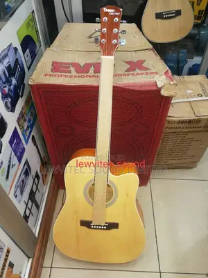 Semi Acoustic Guitar