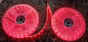 Led Strip Light/Snake Light 12v and 24v.