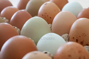 A Tray of Eggs (30)