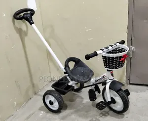 Push Handle Tricycle