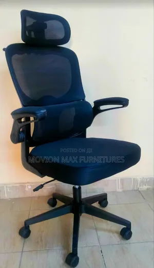 Orthopedic Chair Office Chair