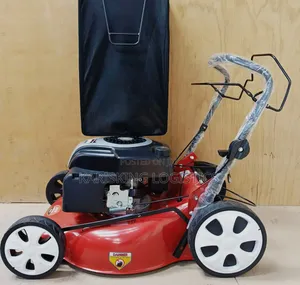 Daichi Lawnmower Gasoline