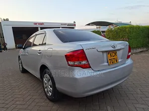 Toyota Axio 2011 Silver