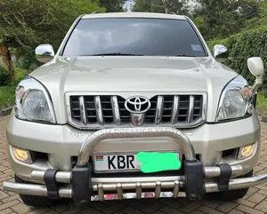 Toyota Land Cruiser Prado 2005 Silver