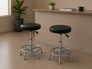 Adjustable Salon Chair