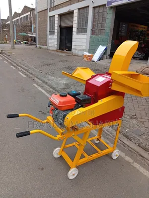 3in1 Multipurpose Chopper