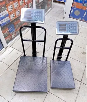 High-precision Platform Weighing Scale 300kgs Small Base Guard