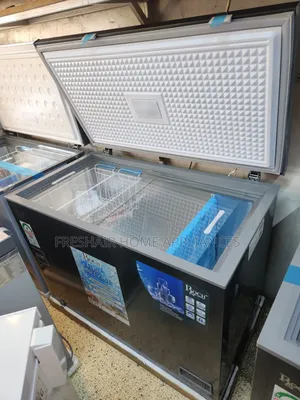 300litres New Roch Powerful Deep Freezer