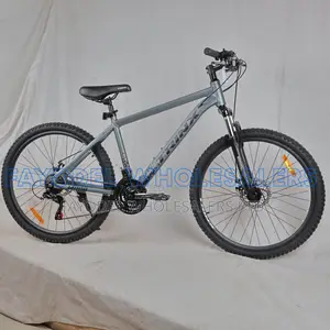 Trinx M100 29-Inch Mountain Bike | | Front Suspension | 21 Speed