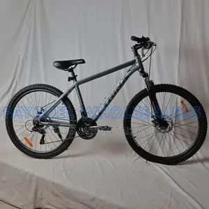 Trinx 29-Inch Mountain Bike | Front Suspension Disc Brakes