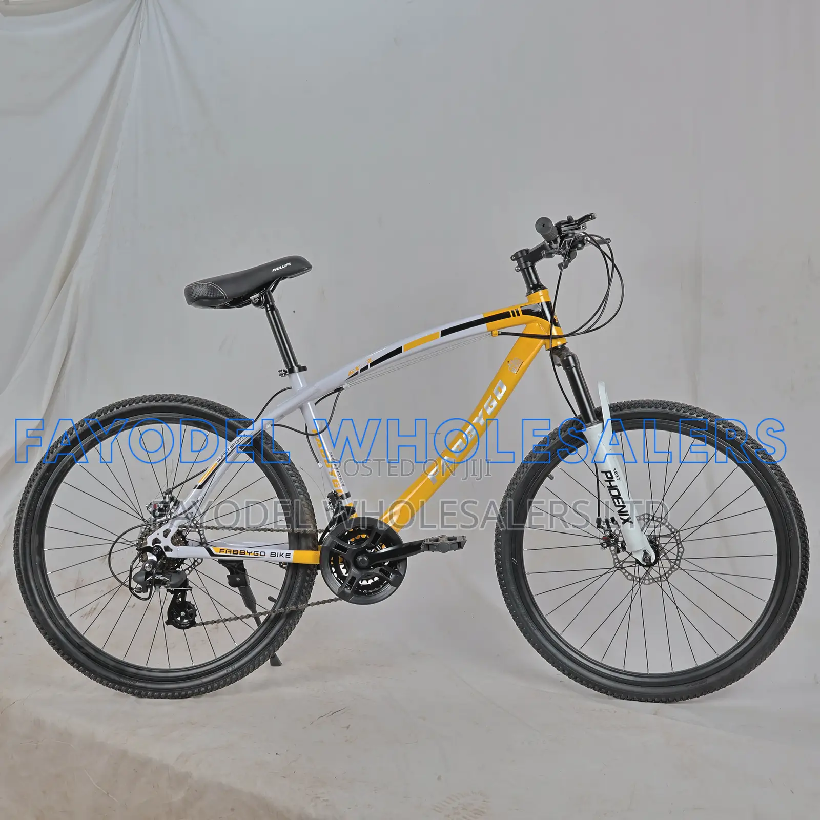 New Phoenix Mountain Bike | 21-Speed With Disc Brakes