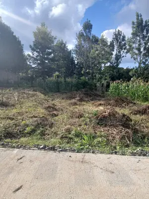 Prime One-Eighth. Acre Plot for Sale-Kerarapon Drive.