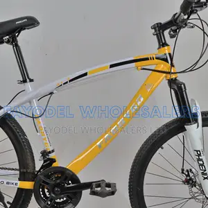 Phoenix MTB 29-Inch – Strong, Fast Reliable