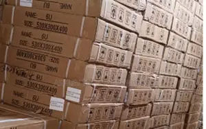 6u Professional Server Storage Cabinet