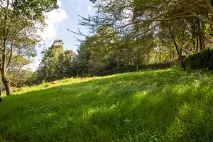 Prime 2-Acre Residential Land for Sale in Ngong – Matasia