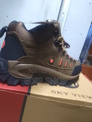  Brown Skyview Hiking Boot 