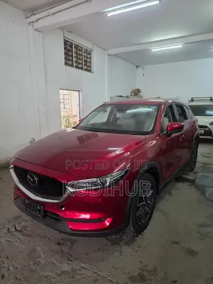 Cx5 Kdy Available for Hire