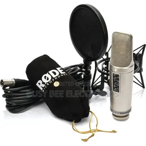 Best Quality Rode Nt2-a Large-Diaphragm Condenser Microphone