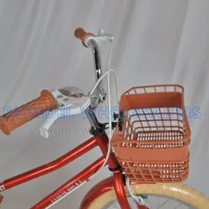 Lifestyle Bicycle With Front Basket and Mudguards