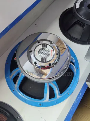 Derwell 12 Inch Speaker