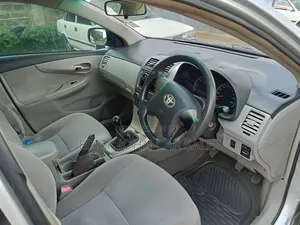 Toyota Axio 2010 Silver