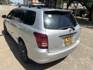 Toyota Corolla Fielder 2009 Silver