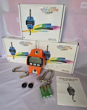 300kg Heavy Duty Crane Scale