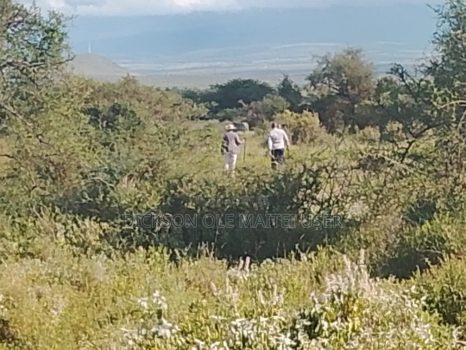 Amboseli/Kajiado 60 Arcs.