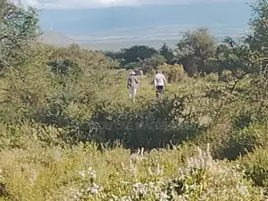 Amboseli/Kajiado 60 Arcs.