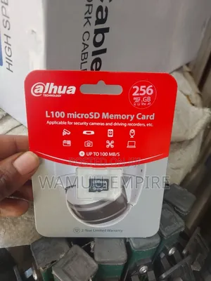 Dahua L100 Microsdxc Memory Card With a 256gb Capacity